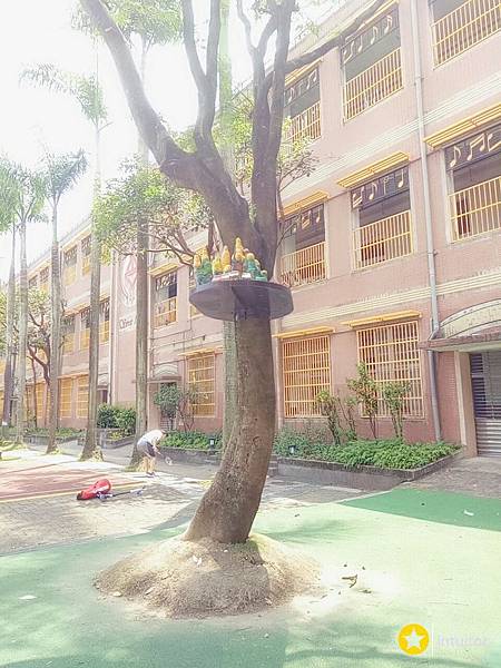 古亭國小共融遊戲場12.jpg 古亭國小共融遊戲場12.jpg