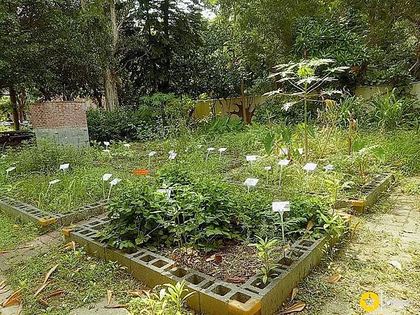 公館國小8.jpg 公館國小8.jpg