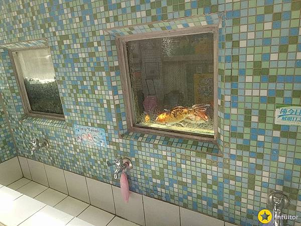 公館國小15.jpg 公館國小15.jpg