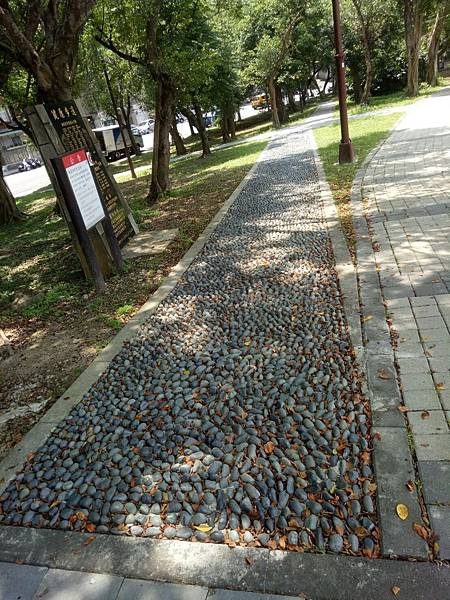 南港防災公園1.jpg