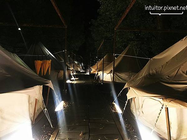 蝶舞潤夜景.jpg 蝶舞潤夜景.jpg