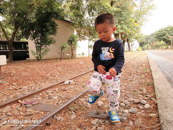 嘉義阿里山車庫園區7.jpg