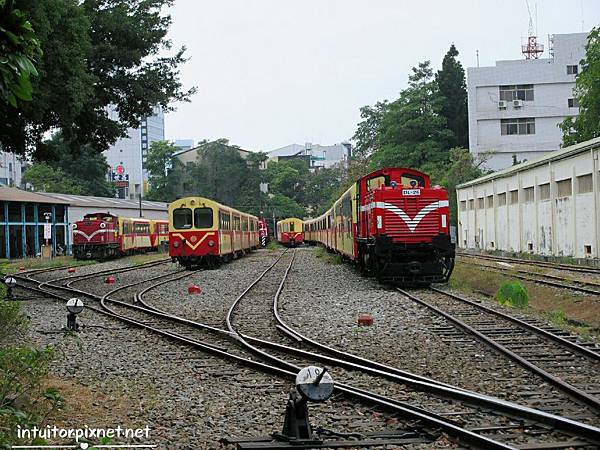 嘉義阿里山車庫園區9.jpg