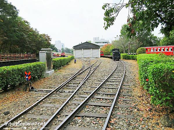 嘉義阿里山車庫園區4.jpg