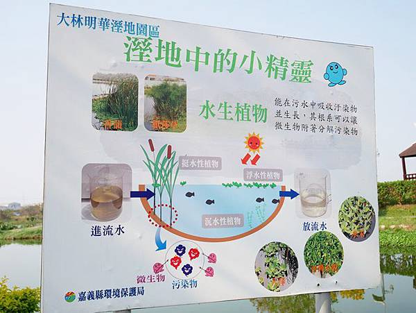 明華濕地2.JPG