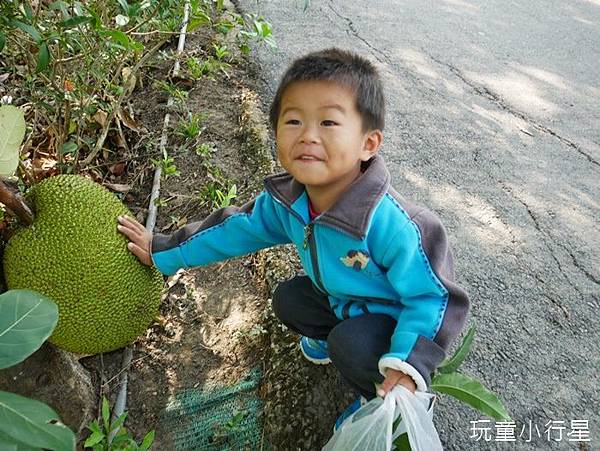 圖 台南新化林場，親子登山健行