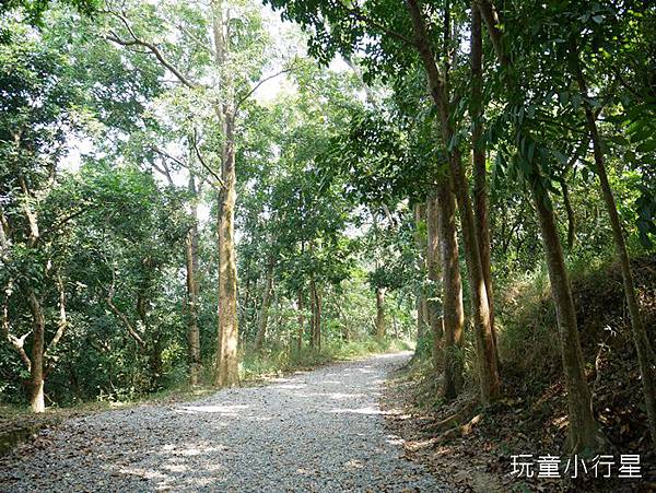 圖 台南新化林場，親子登山健行