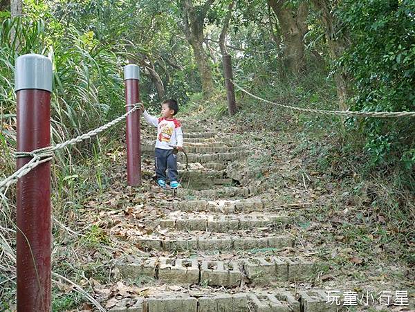 圖 台南新化林場，親子登山健行