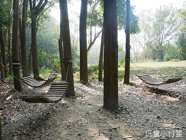 圖 台南新化林場，親子登山健行