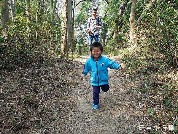 六甲鎮南宮步道20.JPG