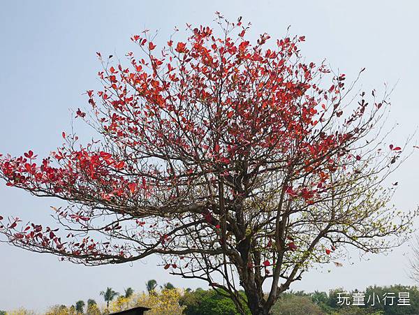 溪洲公園29.JPG