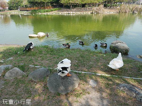 溪洲公園7.JPG