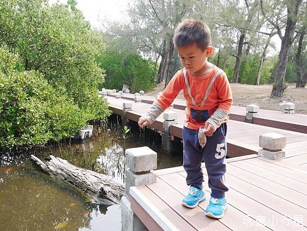 雙春濱海遊憩區23.JPG 雙春濱海遊憩區23.JPG