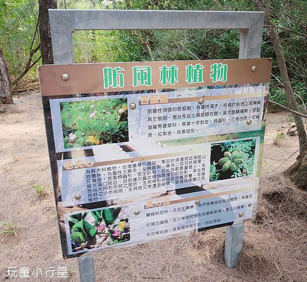 雙春濱海遊憩區26.JPG 雙春濱海遊憩區26.JPG