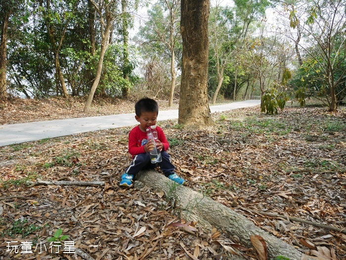 大崗山生態園區11.JPG