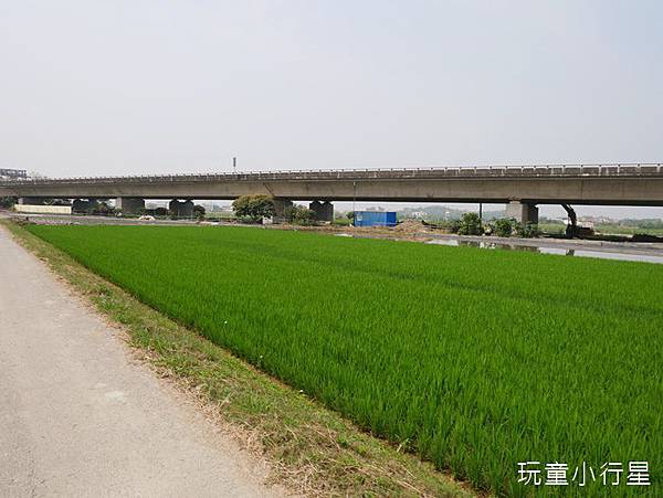 烏山頭山海圳自行車道10.JPG