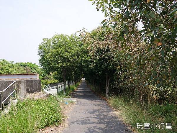 烏山頭山海圳自行車道17.JPG