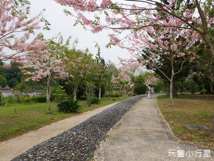 竹崎親水公園28.JPG