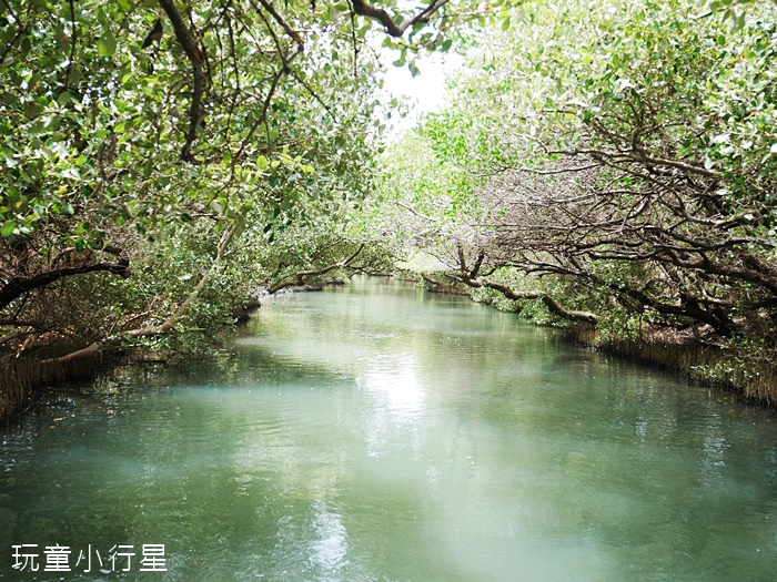 台江綠色隧道9.JPG