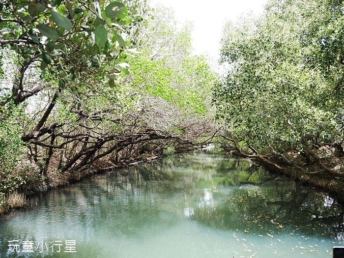 台江綠色隧道10.JPG