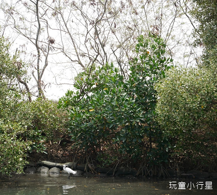 台江綠色隧道12.JPG