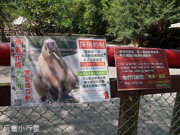 頑皮世界6.JPG 頑皮世界6.JPG