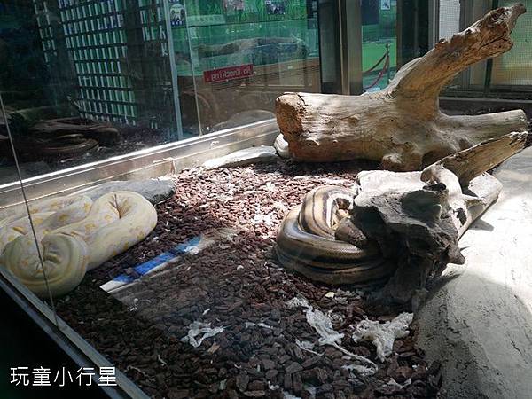 頑皮世界10.JPG 頑皮世界10.JPG