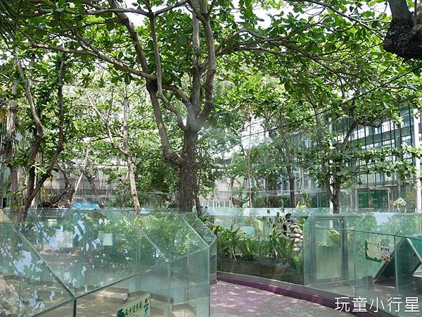 頑皮世界11.JPG 頑皮世界11.JPG