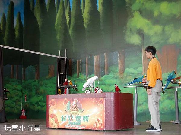 頑皮世界24.JPG 頑皮世界24.JPG