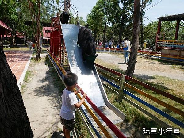 頑皮世界28.JPG 頑皮世界28.JPG