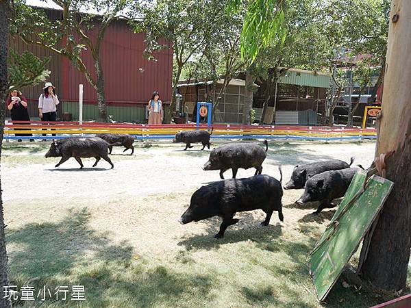 頑皮世界27.JPG 頑皮世界27.JPG