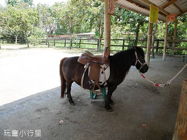 頑皮世界30.JPG 頑皮世界30.JPG