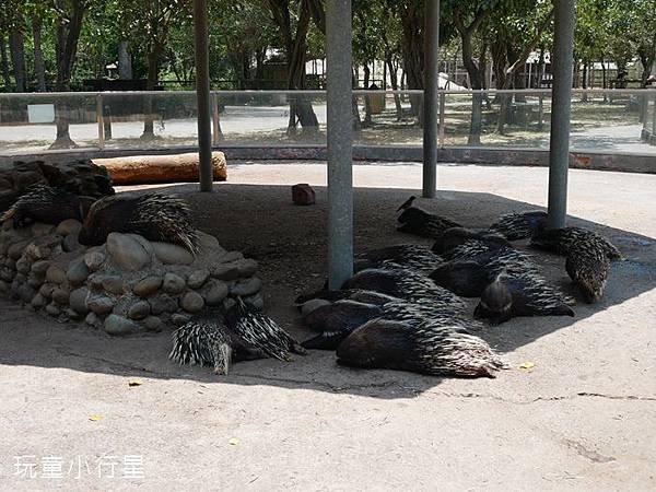 頑皮世界31.JPG 頑皮世界31.JPG