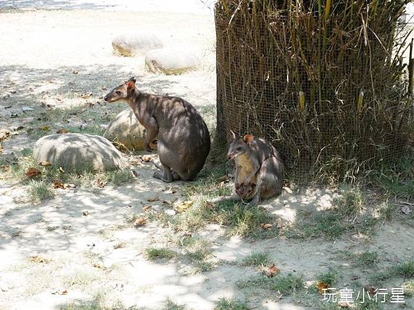 頑皮世界32.JPG 頑皮世界32.JPG