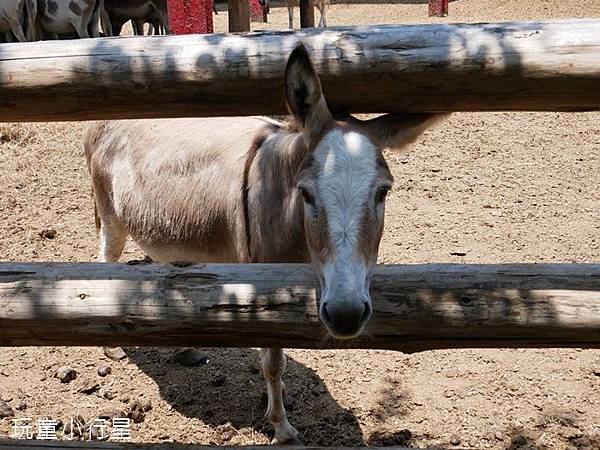 頑皮世界34.JPG 頑皮世界34.JPG