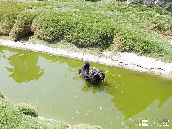 頑皮世界2.JPG 頑皮世界2.JPG