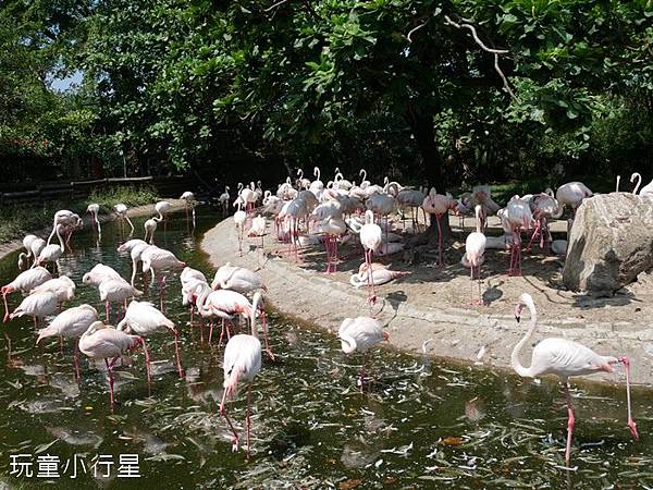 頑皮世界3.JPG 頑皮世界3.JPG