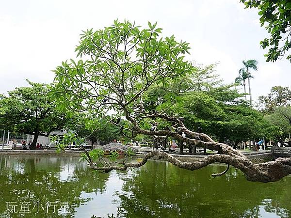 屏東公園23.JPG 屏東公園23.JPG