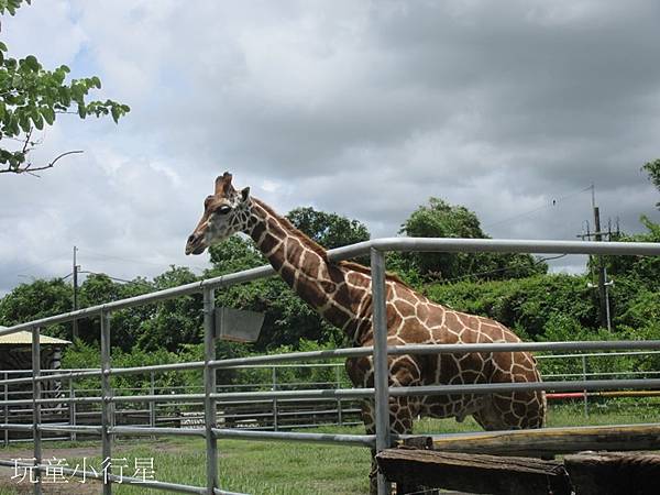 頑皮世界32.JPG 頑皮世界32.JPG