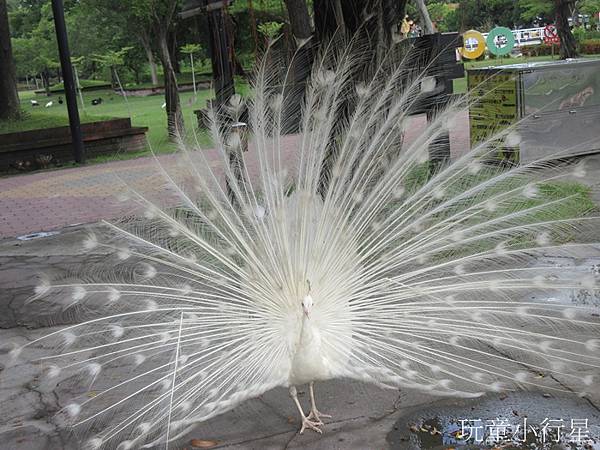 頑皮世界33.JPG 頑皮世界33.JPG