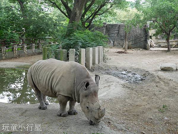 壽山動物園12.JPG