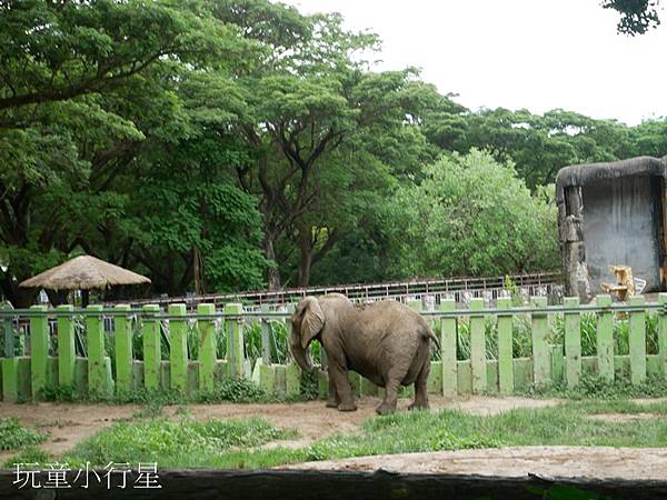 壽山動物園13.JPG