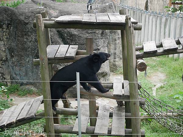 壽山動物園14.JPG