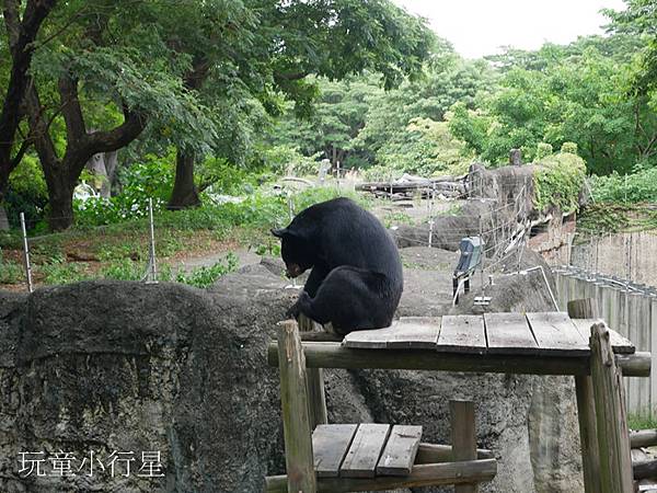 壽山動物園15.JPG