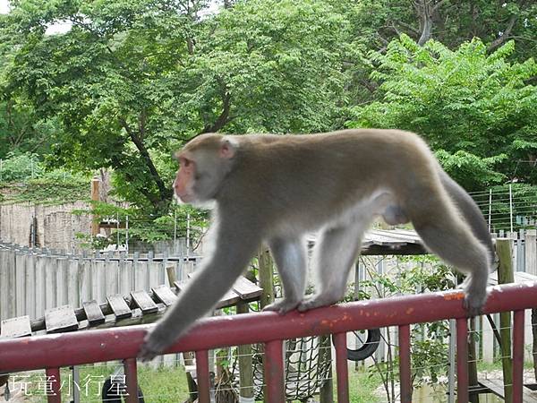 壽山動物園16.JPG