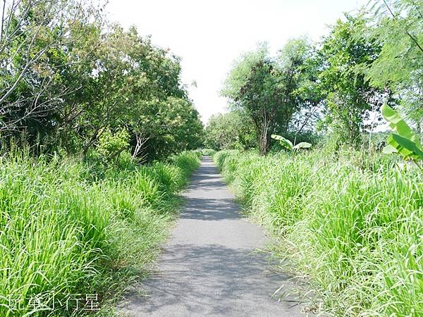 雲林虎尾雙鐵綠廊道10.JPG