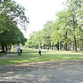 嘉義港坪運動公園1.JPG