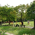 澄清湖風景區兒童樂園4.JPG