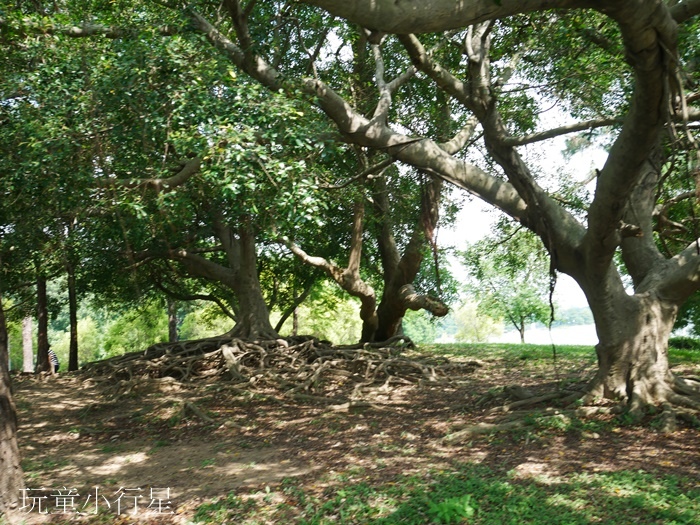 澄清湖風景區兒童樂園11.JPG