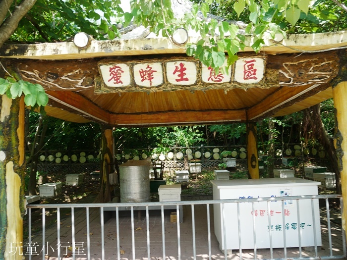 澄清湖風景區兒童樂園14.JPG